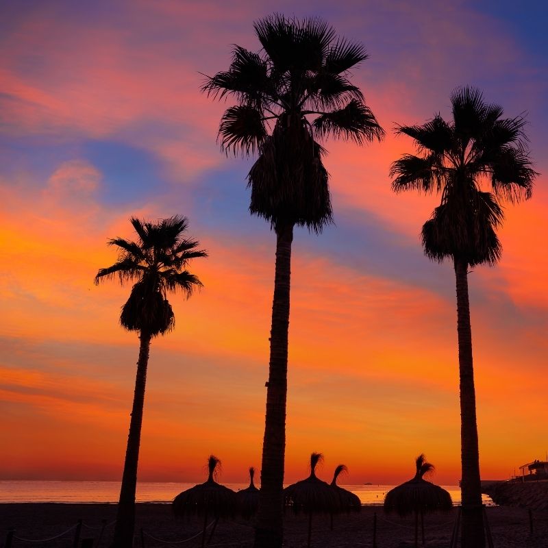 Hoteles económicos en la playa de la Malvarrosa