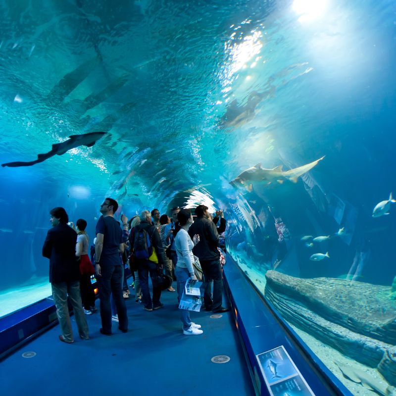 oceanografic de valencia