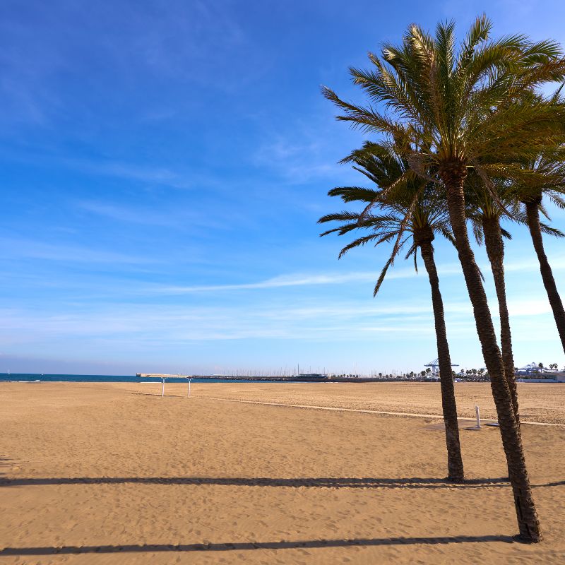 playa de la malvarrosa
