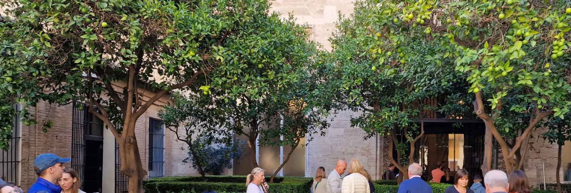 Patio de los Naranjos