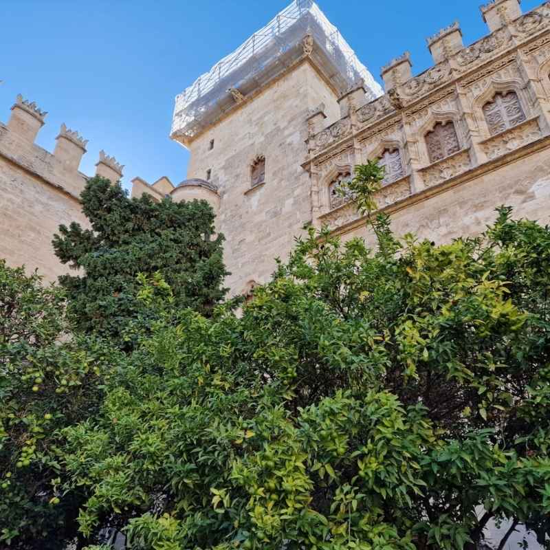 Patio de los Naranjos