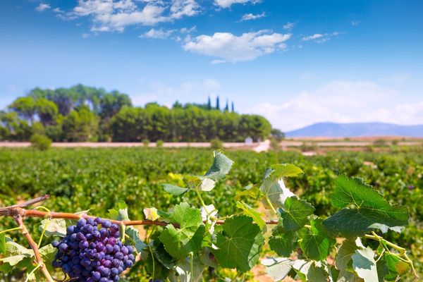 Requena, cuevas subterráneas y bodegas históricas