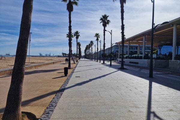 Paseo Marítimo de Valencia junto al mar con paseo y palmeras