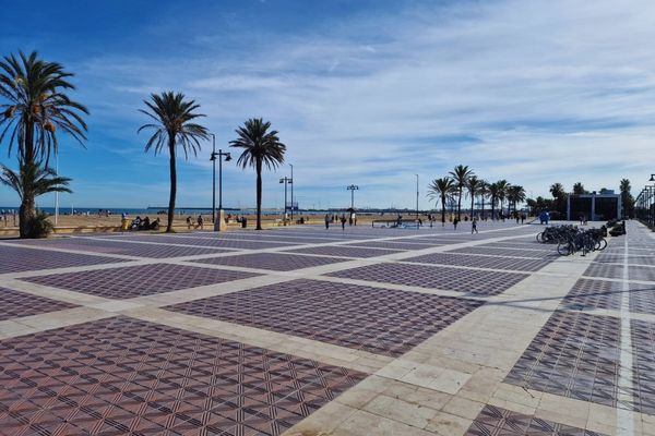 Paseo Marítimo de Valencia junto al mar con paseo y palmeras