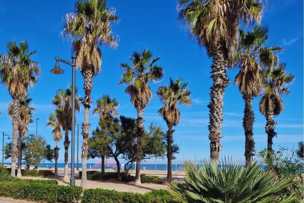 Playa de la Malvarrosa con arena dorada y mar en calma