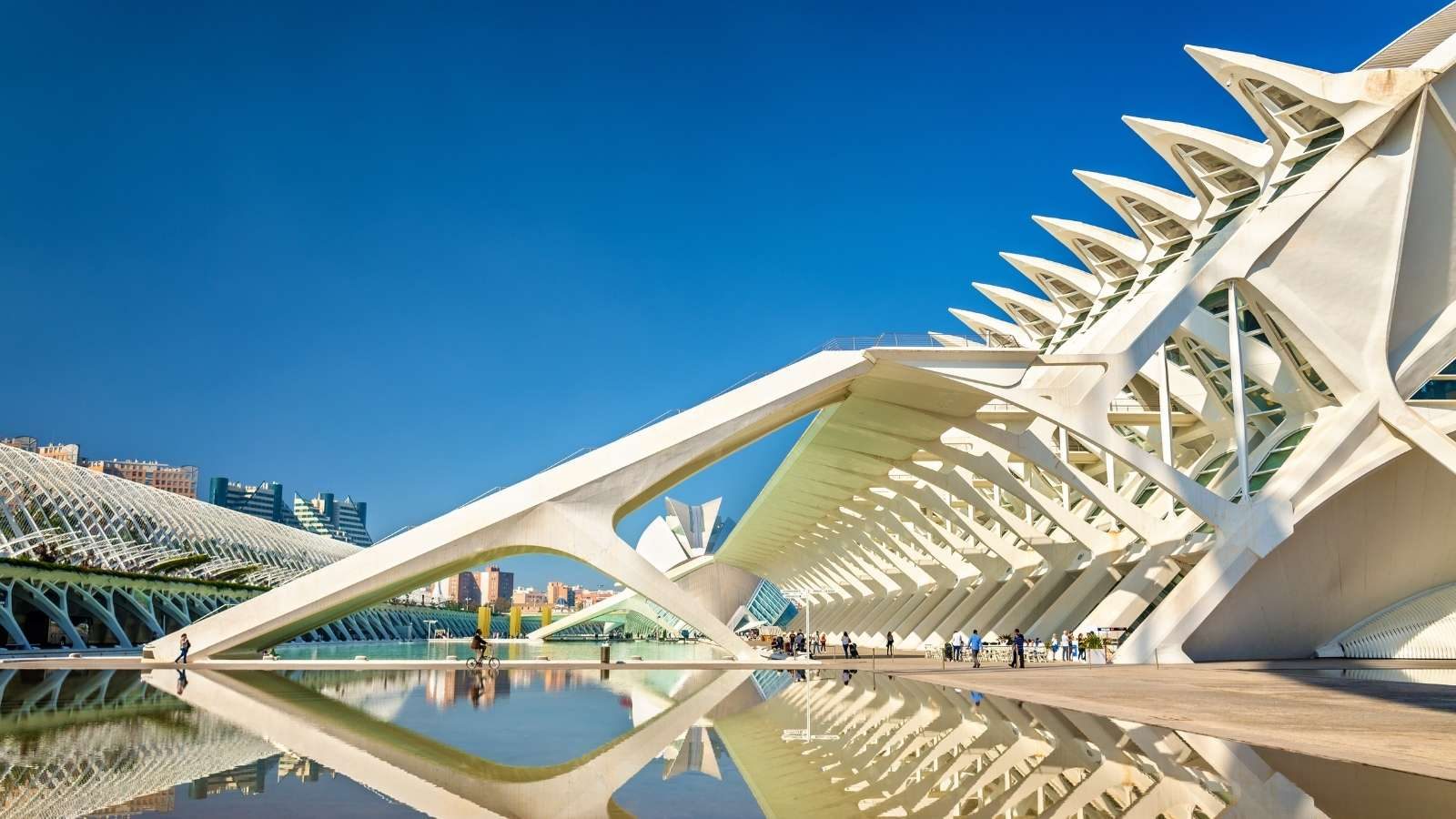 Museo de las Ciencias Príncipe Felipe en la Ciudad de las Artes y las Ciencias de Valencia